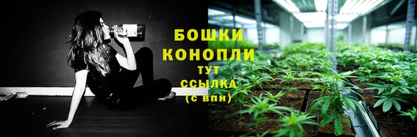 метадон Бикин