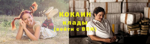 метадон Бикин