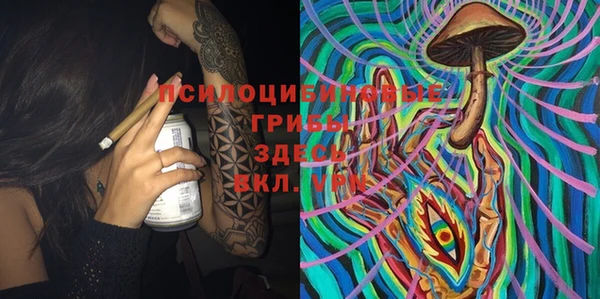 метадон Бикин