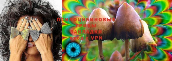 твердый Шарыпово