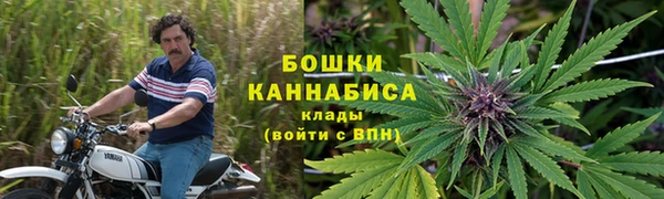 метадон Бикин