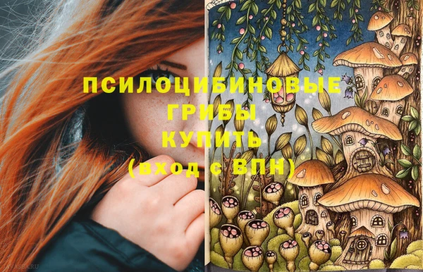 соль курить ск Шали