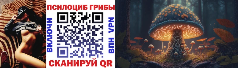 где можно купить   ссылка на мегу сайт  Псилоцибиновые грибы Psilocybe  Вольск 