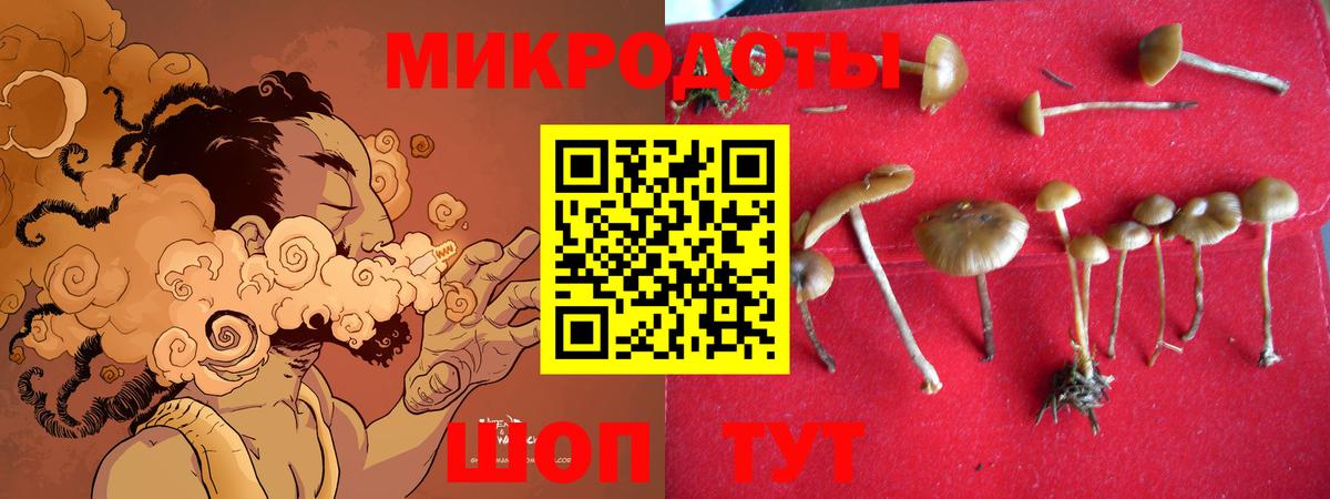 Вольск  Галлюциногенные грибы мухоморы  Псилоцибиновые грибы ЛСД  Вход с VPN 