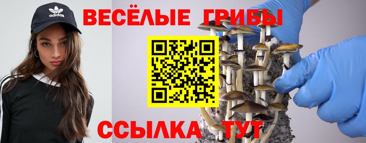 Псилоцибиновые грибы прущие грибы Вольск